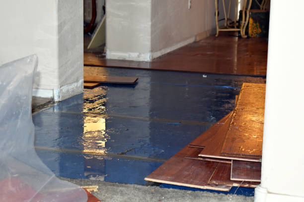 Professional Emergency Water Damage Restoration technician working in Babcock, WI
